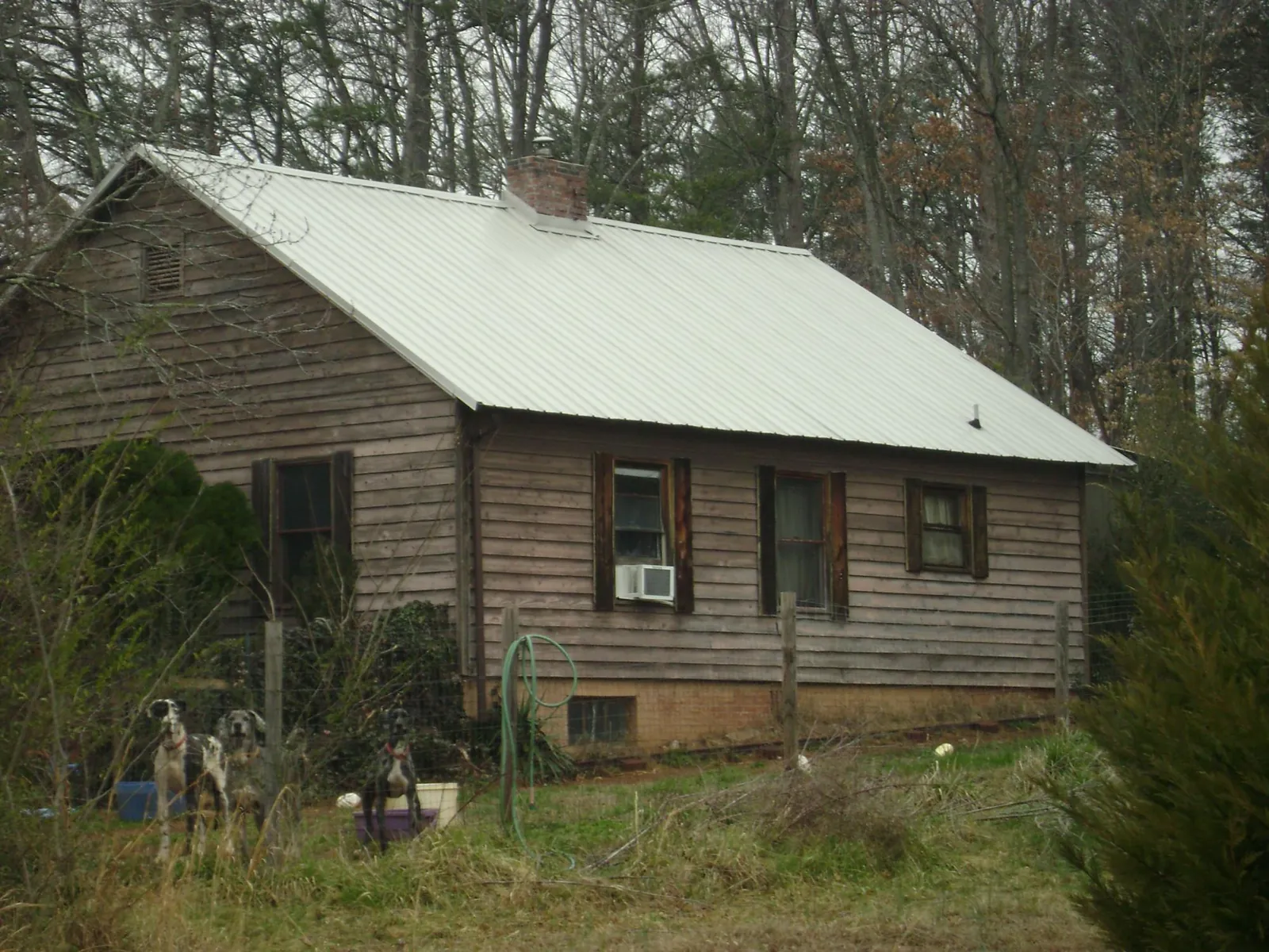 White metal roof on an old wood sided farmhouse, from a Asphalt Shingle Roof Repair job in Pall Mall